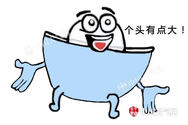 冰雹像碗2_副本.jpg