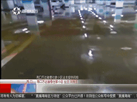 防汛資訊