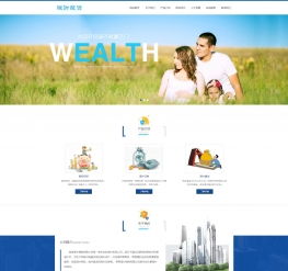 股權(quán)投資財(cái)富管理網(wǎng)站模板 移動(dòng)端與咨詢功能